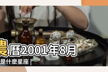 【2001年12月24號是什麼星座】農曆2001年8月3日是什麼星座 |公曆2001年12月24日出生是什麼星座 |陰曆2001年12月24號是什麼星座 |