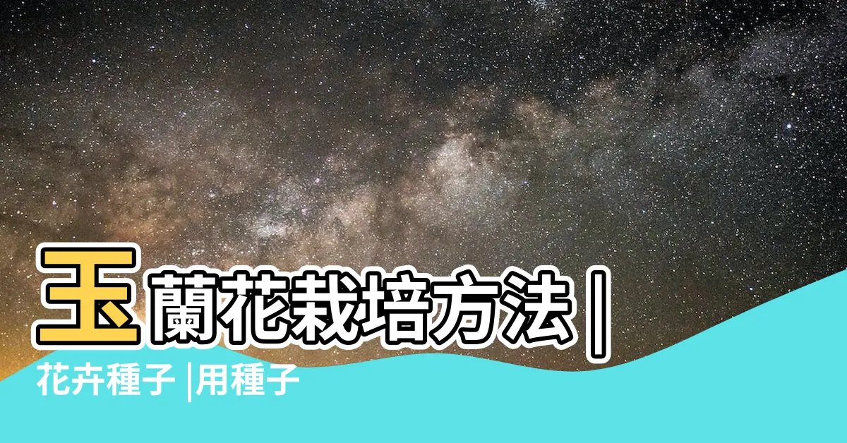 【玉蘭花種子種植】玉蘭花栽培方法 |花卉種子 |用種子種植玉蘭 |