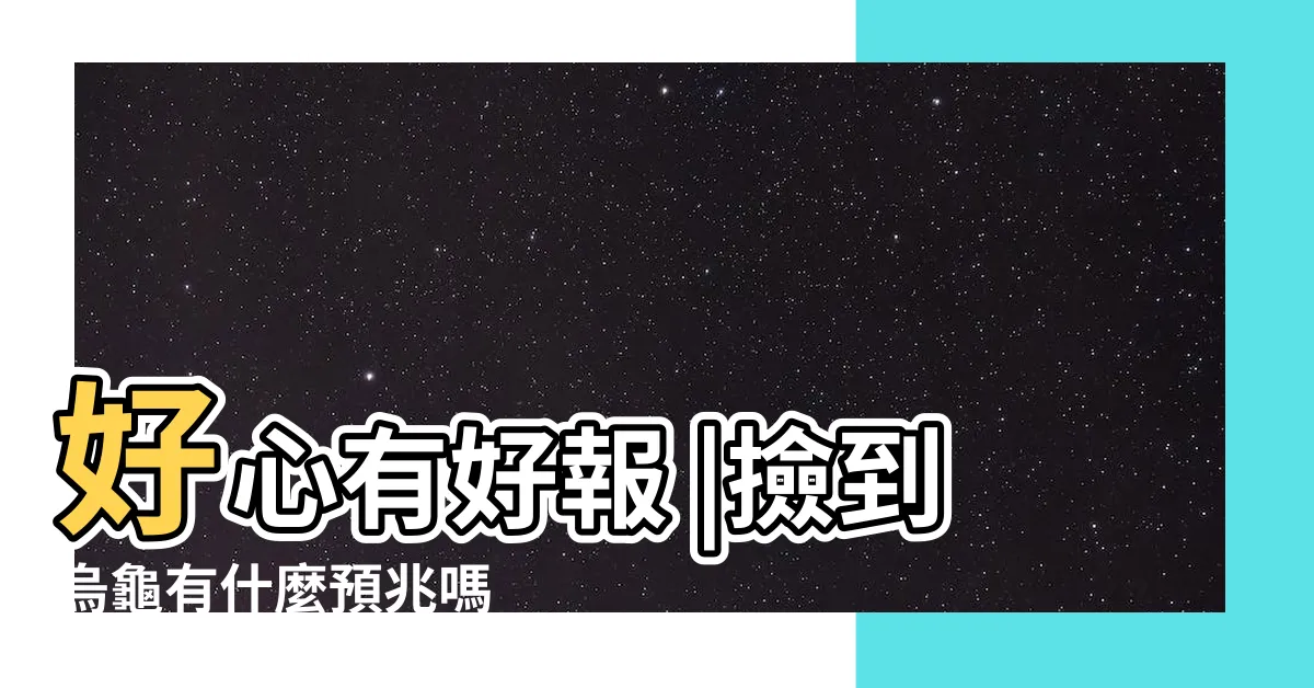 【撿到烏龜號碼】好心有好報 |撿到烏龜有什麼預兆嗎 |撿到烏龜代表什麼意思 |