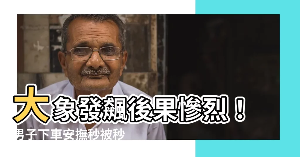 【大象生氣】大象發飆後果慘烈!男子下車安撫秒被秒殺,場面駭人