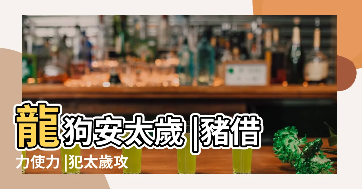 【甲辰龍年 顏色】龍狗安太歲 |豬借力使力 |犯太歲攻略 |