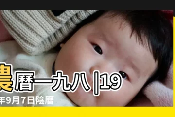 【1981年9月7日陽曆是多少號】農曆一九八 |1981年9月7日陰曆多少號 |1981年9月7日農曆多少號 |