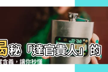 【達官貴人意思】揭秘「達官貴人」的真實含義，讓你秒懂這個詞彙！
