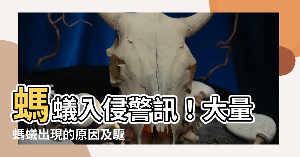 【螞蟻大量出現原因】螞蟻入侵警訊！大量螞蟻出現的原因及驅逐妙計
