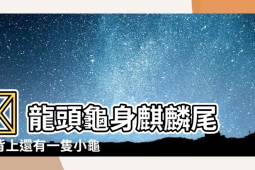 【龍頭龜身麒麟尾】🔥 龍頭龜身麒麟尾，背上還有一隻小龜！你見過這種神獸嗎？