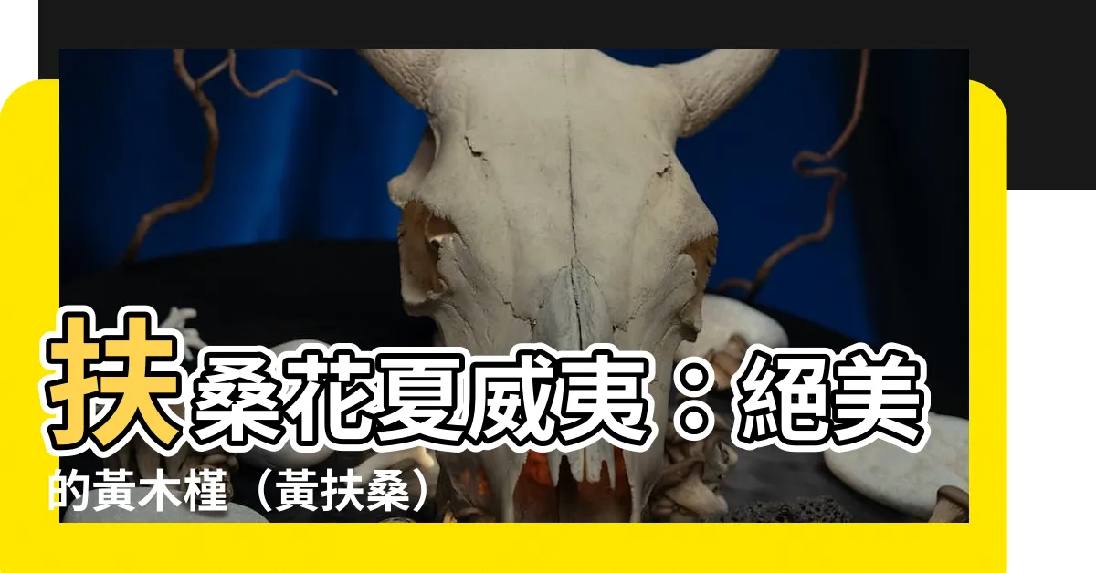 【扶桑花夏威夷】扶桑花夏威夷：絕美的黃木槿（黃扶桑）在夏威夷州綻放的迷人之姿