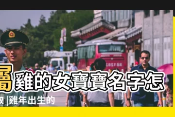 【雞寶寶 女孩】屬雞的女寶寶名字怎麼取 |雞年出生的女寶寶起名常用字大全 |50件雞寶寶娃娃 |
