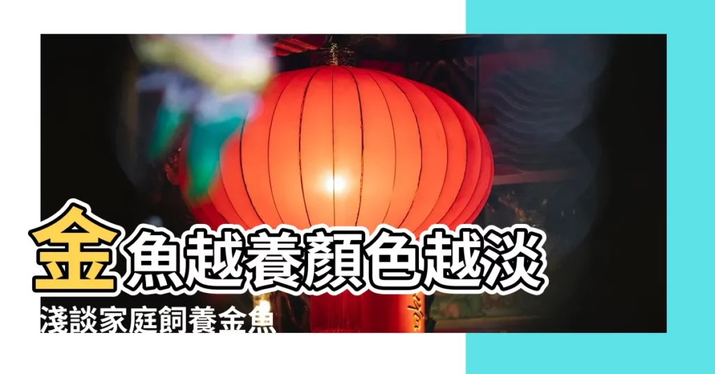 金魚越養顏色越淡 |淺談家庭飼養金魚如何保色揚色 |金魚最喜歡什麼顏色 |【金魚喜歡紅色魚缸】