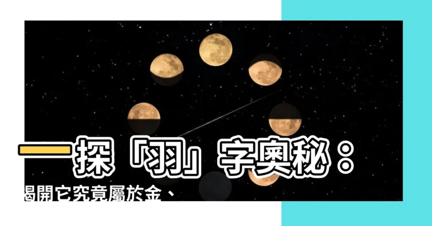 【羽屬金】一探「羽」字奧秘：揭開它究竟屬於金、木、水、火、土哪一種？