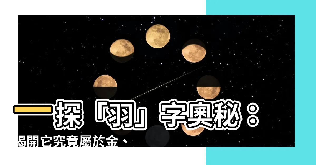 【羽屬金】一探「羽」字奧秘:揭開它究竟屬於金、木、水、火、土哪一種?