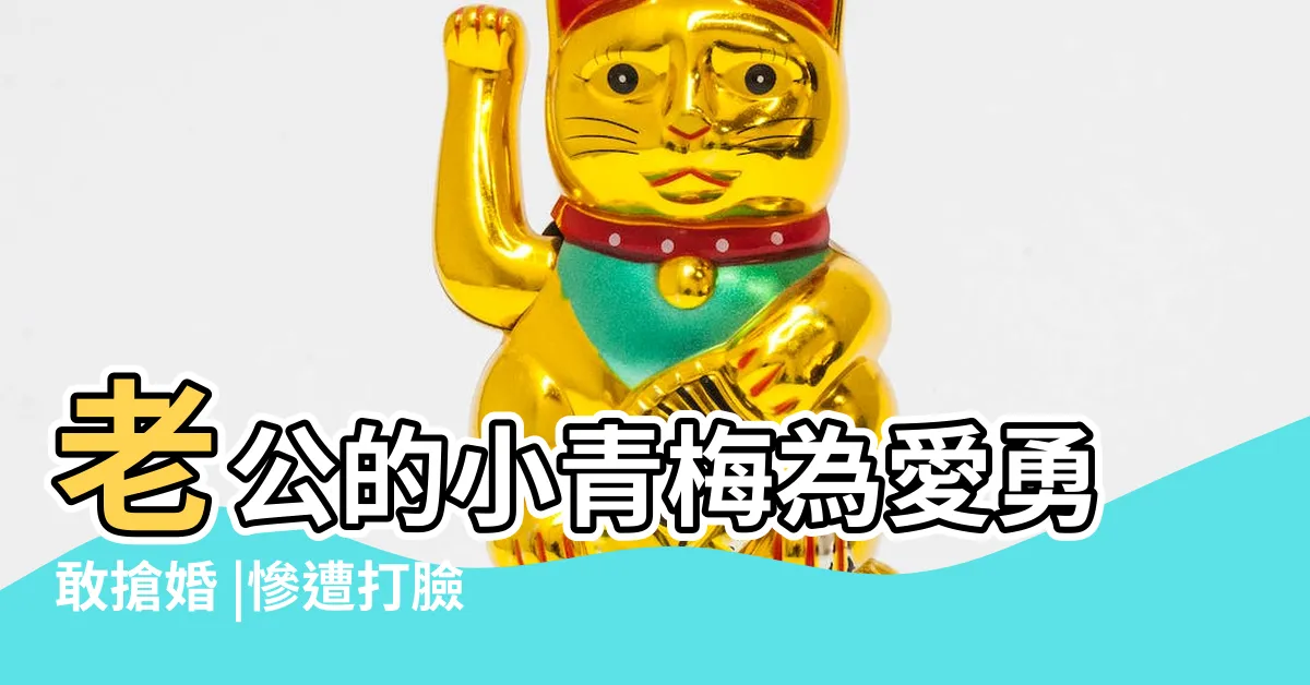 【程寒 鹿呦呦】老公的小青梅為愛勇敢搶婚 |慘遭打臉 |第9章免費閲讀 |