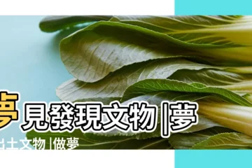 【夢見挖出來文物棺材】夢見發現文物 |夢見出土文物 |做夢夢見挖棺材好不好 |