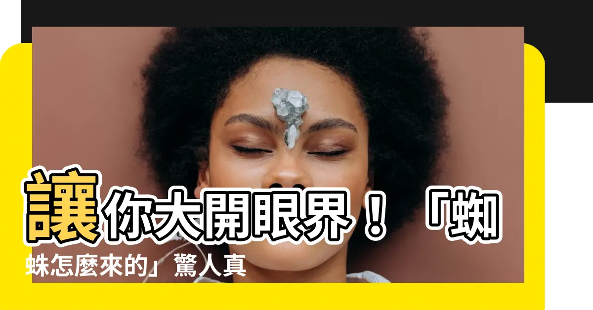 【蜘蛛怎麼來的】讓你大開眼界！「蜘蛛怎麼來的」驚人真相揭曉！