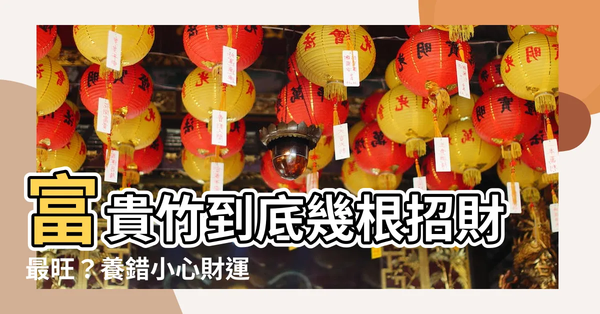 【富貴竹 幾多枝】富貴竹到底幾根招財最旺？養錯小心財運被剋！