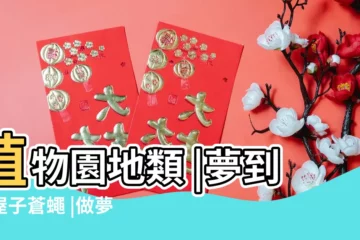 【夢見蒼蠅落在屋頂】植物園地類 |夢到滿屋子蒼蠅 |做夢夢到蒼蠅在頭上飛 |