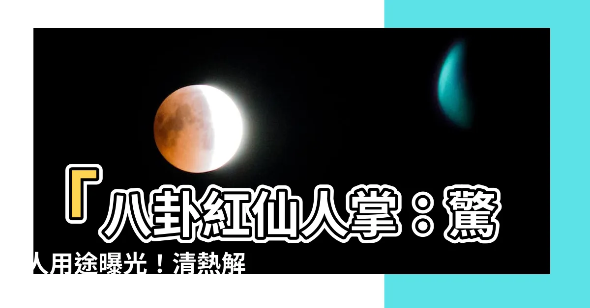 【八卦紅仙人掌用途】「八卦紅仙人掌：驚人用途曝光！清熱解毒效果讓人大開眼界！」