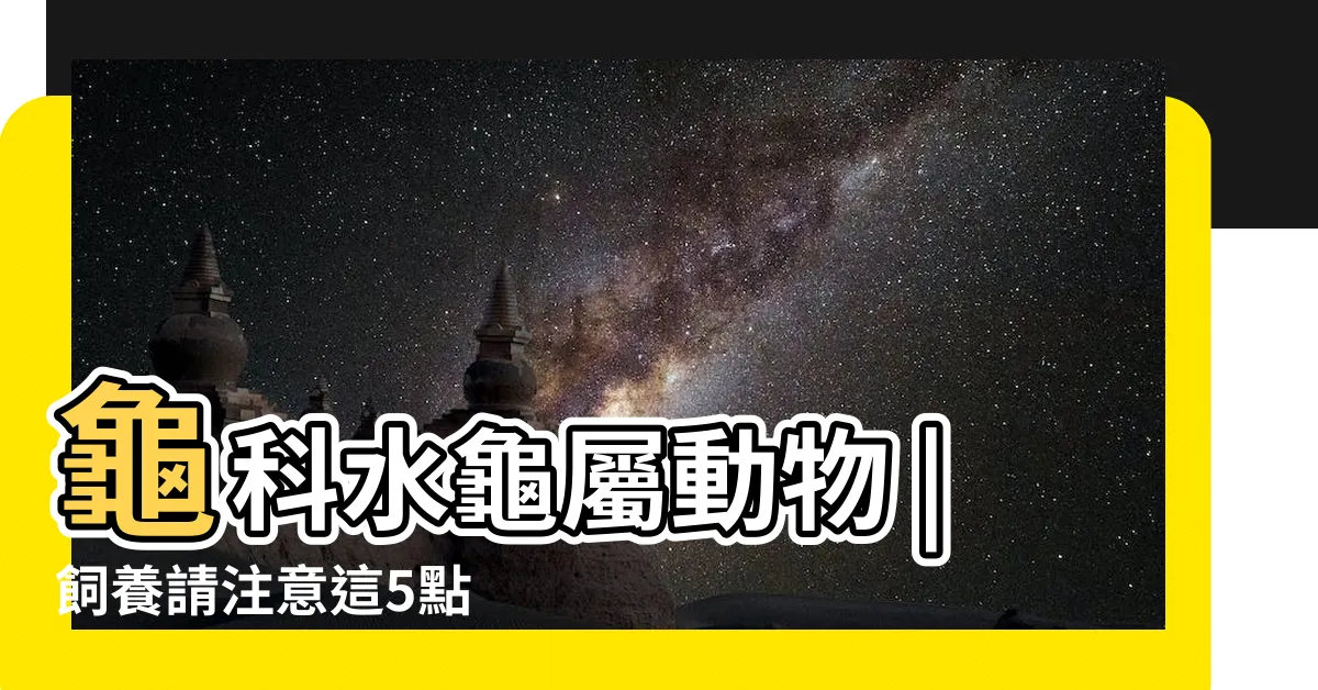 【烏龜草】龜科水龜屬動物 |飼養請注意這5點 |超有魅力的中華草龜 |