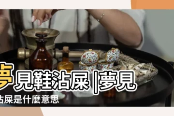 【夢見鞋子上沾了大便】夢見鞋沾屎 |夢見鞋沾屎是什麼意思 |夢見鞋沾屎 |