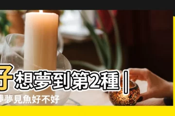 【夢見黑色的魚像狗一樣的東西】好想夢到第2種 |做夢夢見魚好不好 |8大類夢境 |