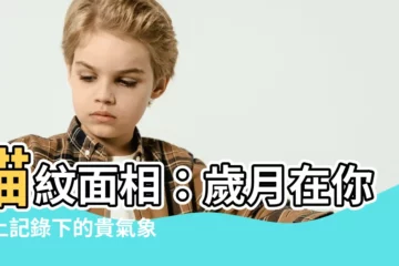【貓紋面相】貓紋面相：歲月在你臉上記錄下的貴氣象徵