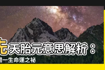 【先天胎元意思】先天胎元意思解析：揭開一生命運之秘