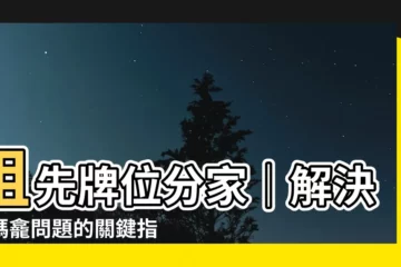 【祖先牌位分家】祖先牌位分家｜解決公媽龕問題的關鍵指南