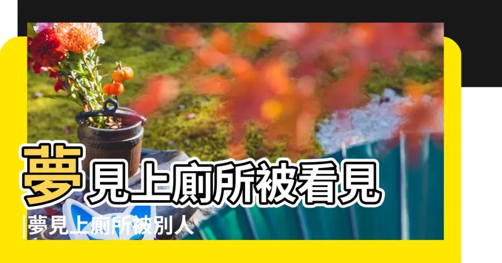 夢見上廁所被看見 |夢見上廁所被別人看見 |夢見上廁所被別人看到 |【夢見上廁所讓人看見了】