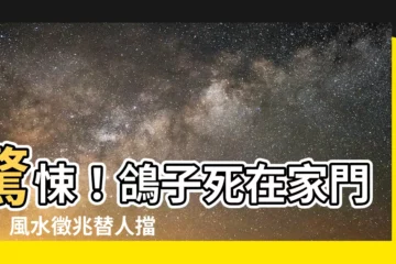 【鴿子死在家門口】驚悚！鴿子死在家門口！風水徵兆替人擋災還是厄運降臨？