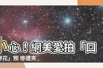 【夾竹桃苷】小心！網美愛拍「口含野花」照 慘遭夾竹桃苷毒害