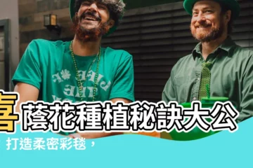 【喜蔭花種植】喜蔭花種植秘訣大公開：打造柔密彩毯，讓陰暗角落不再寂寞！