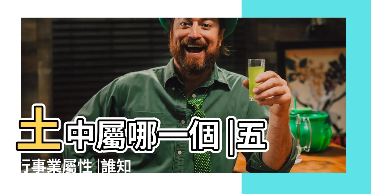 【保險五行屬性】土中屬哪一個 |五行事業屬性 |誰知道保險行業在五行的金 |