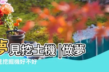 【夢見挖土機和兩個死人】夢見挖土機 |做夢夢見挖掘機好不好 |夢見別人被挖掘機壓死 |