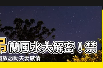 【吊蘭風水】吊蘭風水大解密！禁忌擺放恐動夫妻感情、阻礙運勢上坡