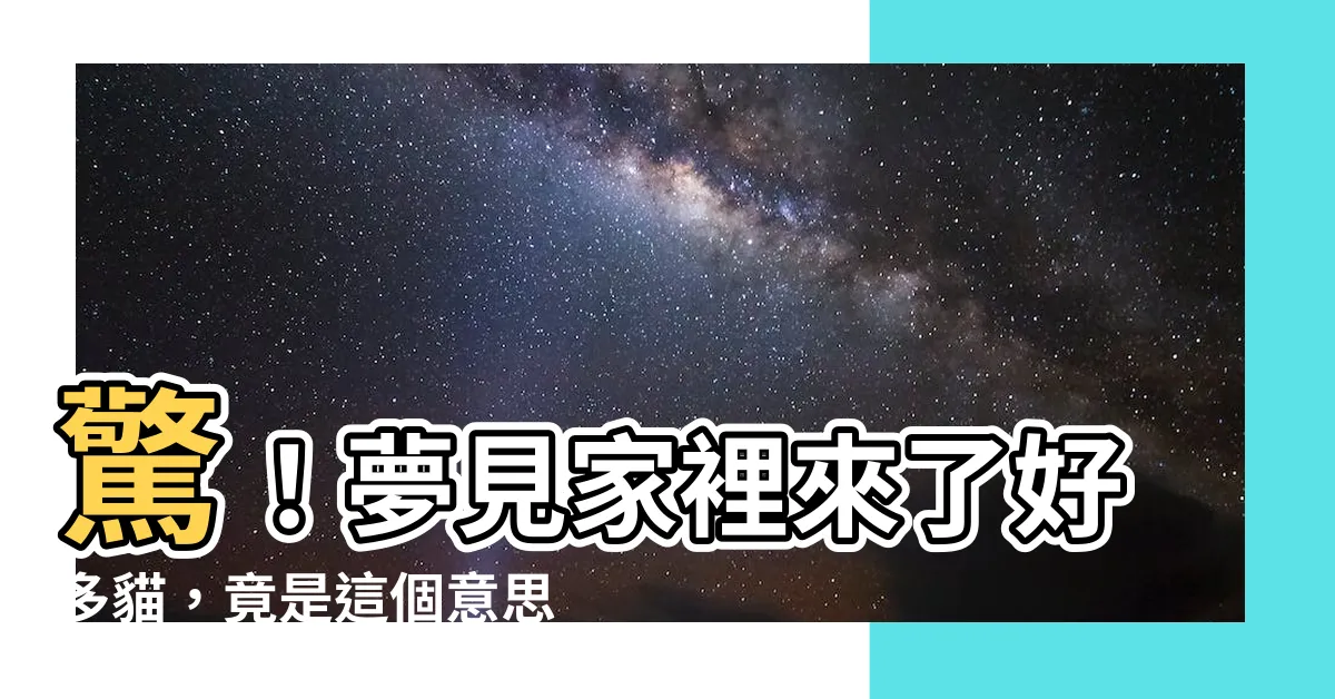 【夢見家裡來了很多貓】驚！夢見家裡來了好多貓，竟是這個意思？
