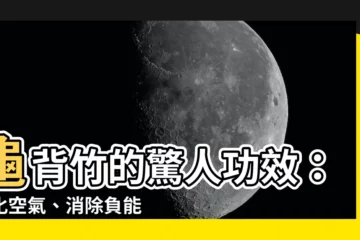 【龜背竹功效】龜背竹的驚人功效：淨化空氣、消除負能量，打造健康居家環境！