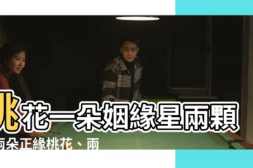 【桃花一朵姻緣星兩顆】桃花一朵姻緣星兩顆！兩朵正緣桃花、兩顆入命宮感情坎坷是真嗎？
