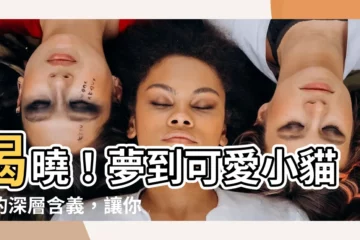 【夢 小貓】揭曉！夢到可愛小貓咪的深層含義，讓你大吃一驚！
