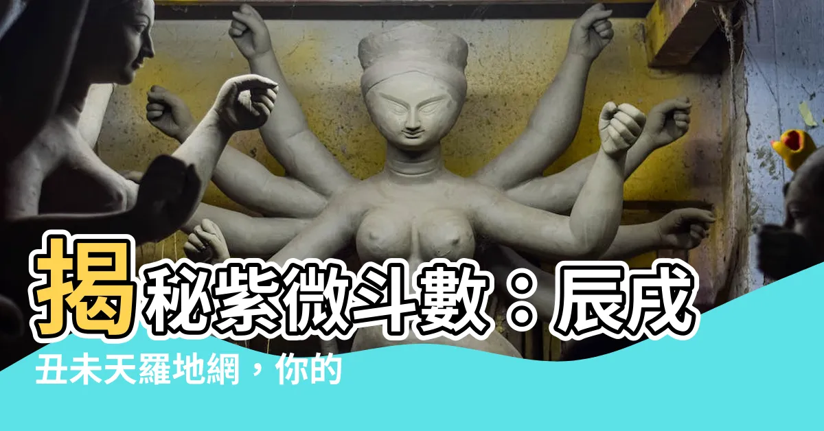 【辰戌醜未天羅地網】揭秘紫微鬥數：辰戌醜未天羅地網，你的命格能逃脱嗎？