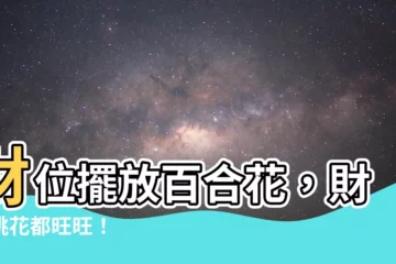 【財位放百合花】財位擺放百合花，財運桃花都旺旺！