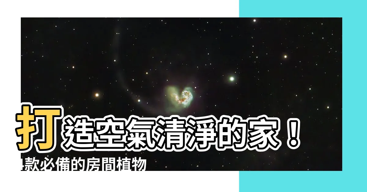 【房間適合放什麼植物】打造空氣清淨的家！4款必備的房間植物推薦