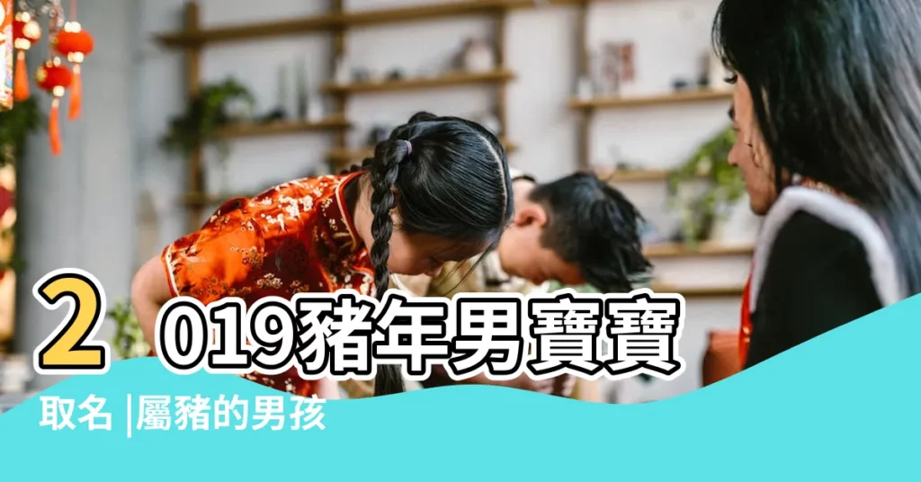 2019豬年男寶寶取名 |屬豬的男孩名字大全集 |2024龍寶寶男孩取名龍寶寶最流行的男孩名字 |【豬年姓龍運字輩男孩名字】