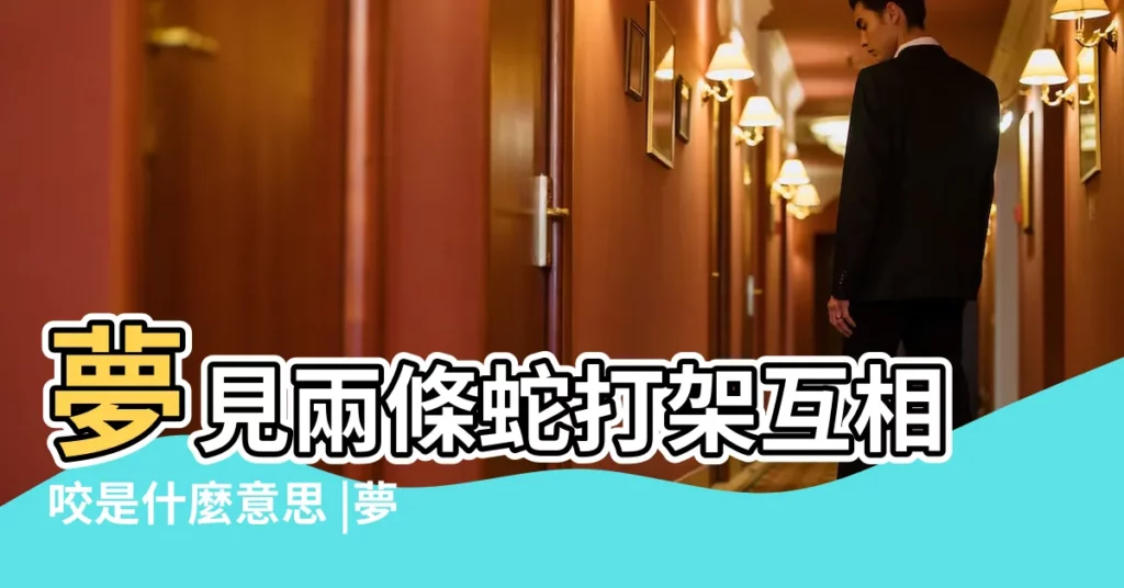 夢見兩條蛇打架互相咬是什麼意思 |夢見兩條蛇打架 |夢見兩條蛇打架是什麼意思預兆 |【做夢夢到兩條大蛇打架】