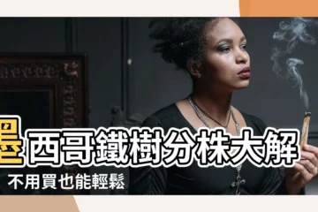【墨西哥鐵樹分株】墨西哥鐵樹分株大解析！不用買也能輕鬆繁殖你的幸運樹