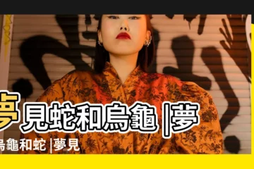 【解夢夢到大蟒蛇和烏龜】夢見蛇和烏龜 |夢見烏龜和蛇 |夢見烏龜和黑蟒蛇 |