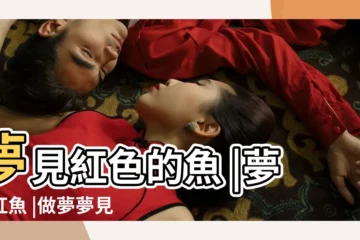 【做夢夢見在捉紅色的魚】夢見紅色的魚 |夢見紅魚 |做夢夢見紅魚好不好 |