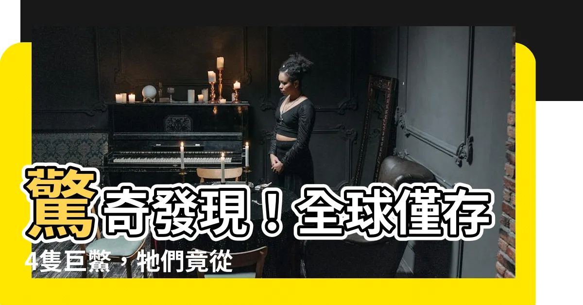 【巨鱉】驚奇發現！全球僅存4隻巨鱉，牠們竟從「斑鱉」變身