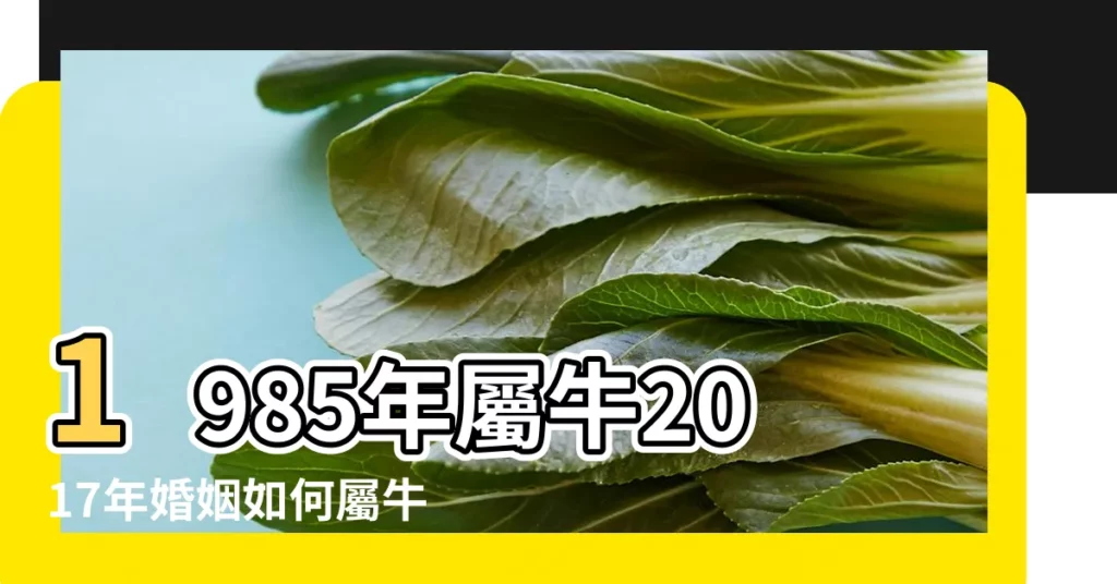 1985年屬牛2017年婚姻如何屬牛1985年35歲以後婚姻是什麼 |1985屬牛最佳結婚年齡 |1985年524女屬牛的今年婚姻如何 |【1985年屬牛2017年婚姻如何】