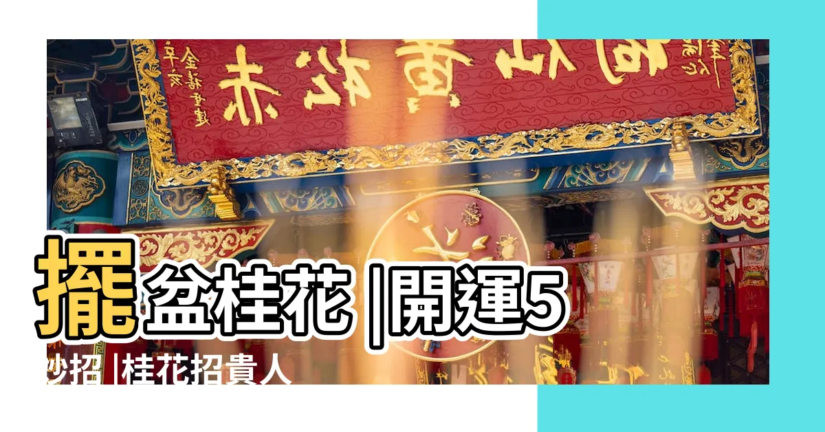 【桂花 招貴人】擺盆桂花 |開運5妙招 |桂花招貴人 |