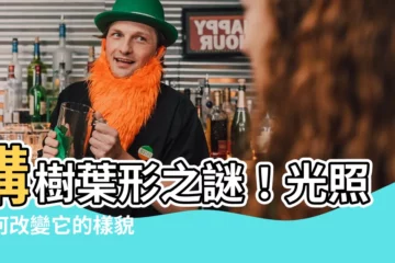 【構樹葉子形狀】構樹葉形之謎！光照如何改變它的樣貌