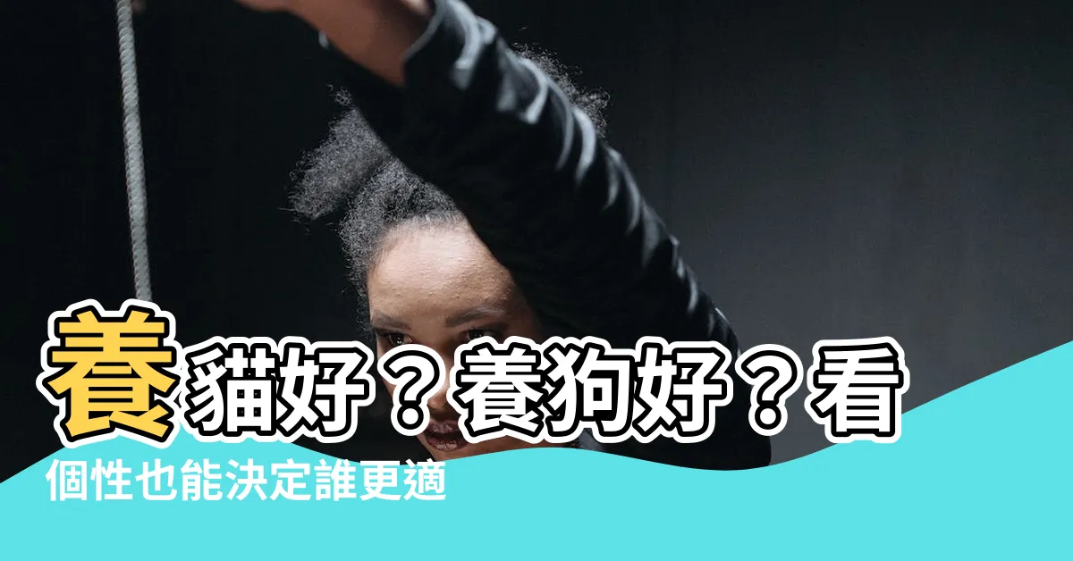 【養貓 養狗】養貓好？養狗好？看個性也能決定誰更適合你！